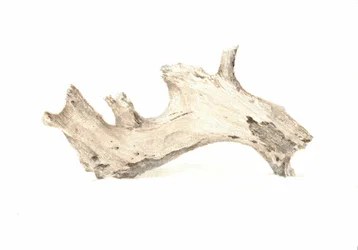 Driftwood, 2015